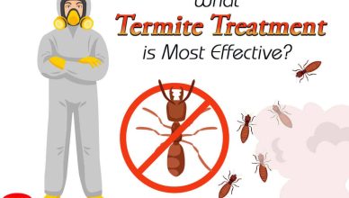 Termite Extermination and Inspection in & near Moreno Valley