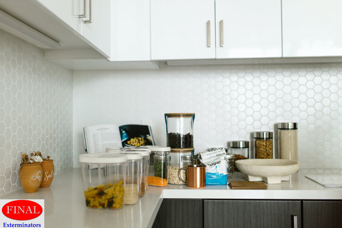 Plastic Containers for Pest-free Home