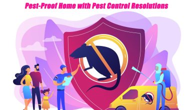 Pest-free Home with New Pest Control Resolutions in Moreno Valley, CA