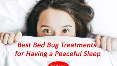Best Bed Bug Treatments in Moreno Valley