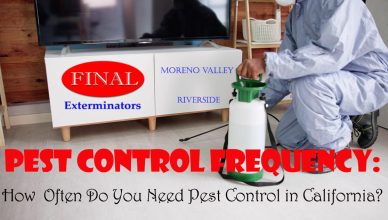 Pest Control Frequency in California