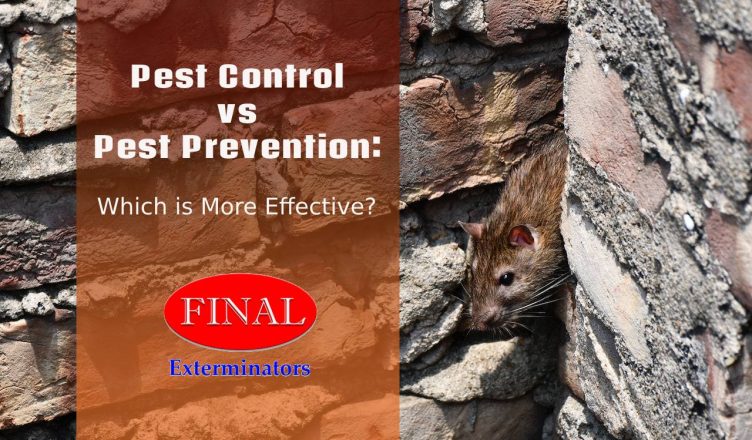 Pest Control vs Pest Prevention