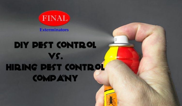 DIY Pest Control vs Pest Control Company in Moreno Valley